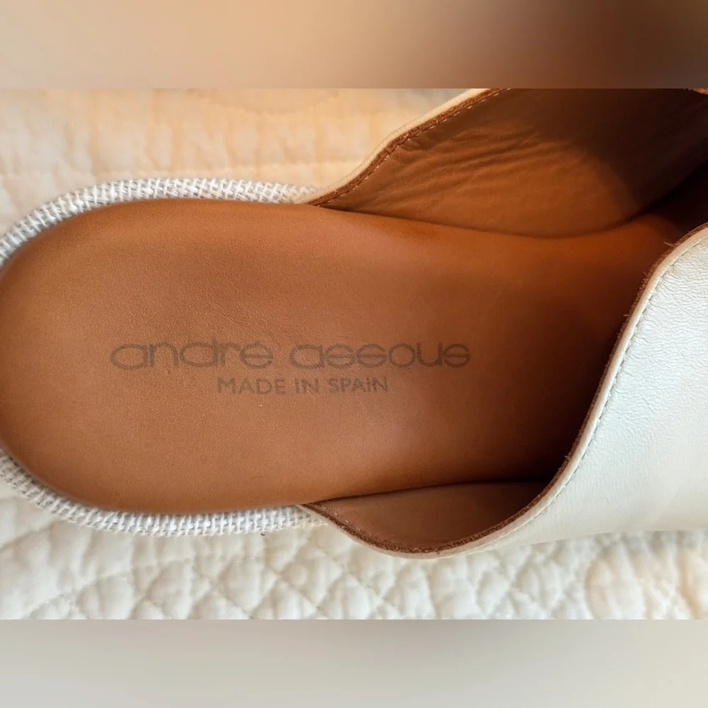Andre Assous andre assous